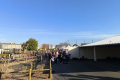 IMG_20260303_162909-scaled