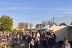 IMG_20260303_162915-scaled