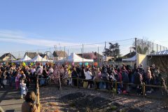 IMG_20260303_162942-scaled