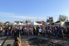 IMG_20260303_162943-scaled