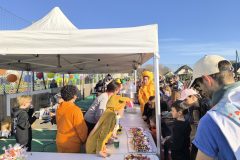 IMG_20260303_163341-scaled