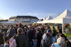 IMG_20260303_163809-scaled