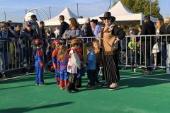 IMG_20260303_165019-scaled